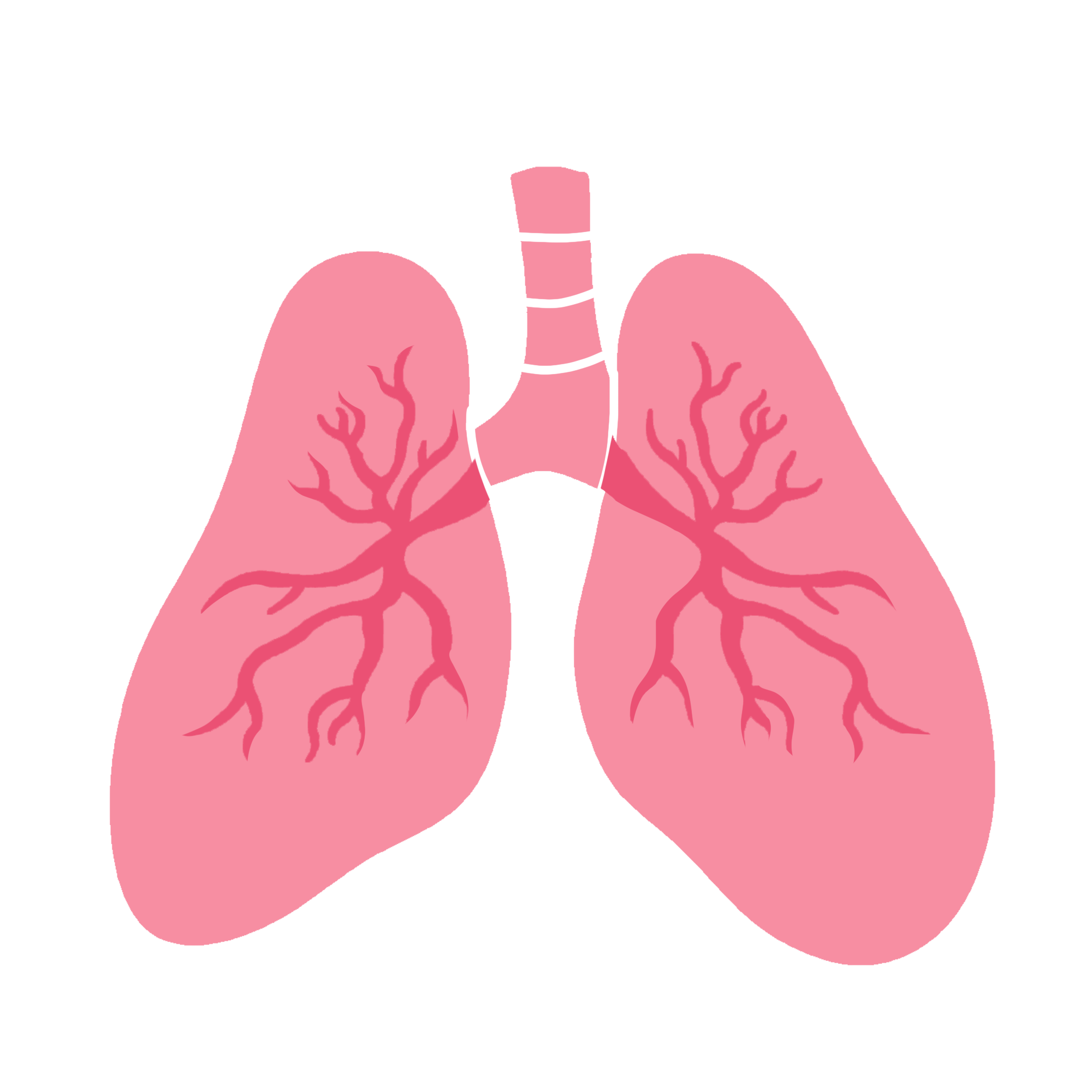 Arch Bronconeumol：阻塞性睡眠呼吸暂停对难治性高血压患者亚临床靶器官损伤的影响